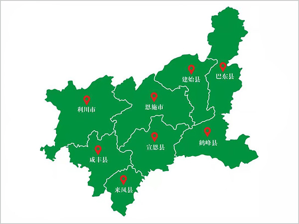 重慶醫(yī)藥恩施有限公司